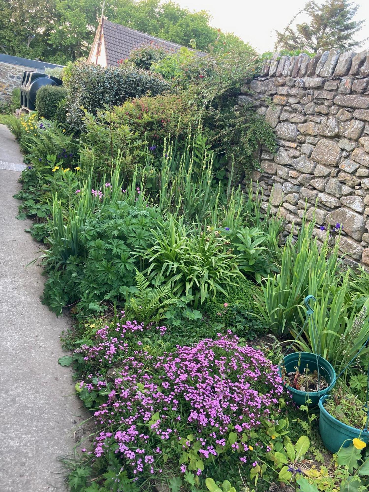 Cosy Cottage - Whitchurch, Solva Eksteriør bilde